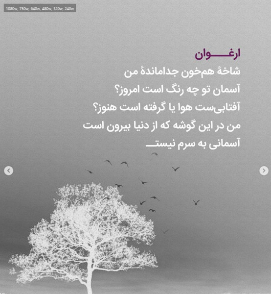 عکس نوشته های غمگین هوشنگ ابتهاج