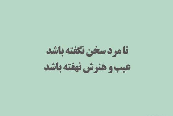 عکس های ضرب المثلی
