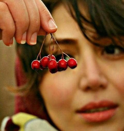 عاشقانه ترین عکس های روز