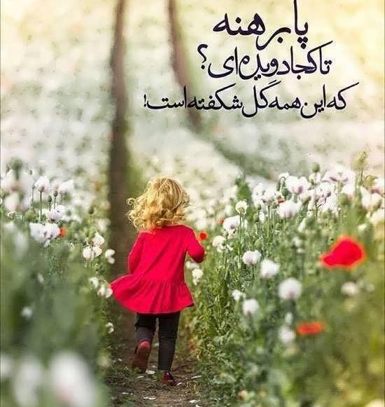 احساسی رمانتیک عکس نوشته عاشقانه