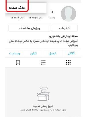 چگونه عکس های پروفایل روبیکا را حذف کنیم