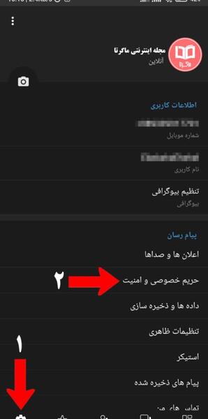 چگونه عکس های پروفایل روبیکا را حذف کنیم