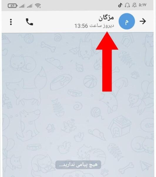 چگونه عکس های پروفایل روبیکا را حذف کنیم