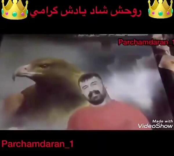 عکس های وحید مرادی با عقاب