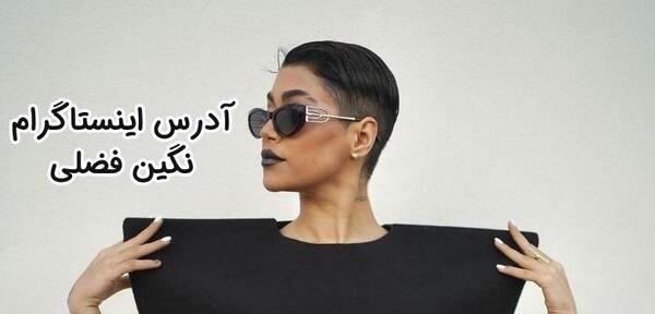 عکس های چاقی نگین فضلی