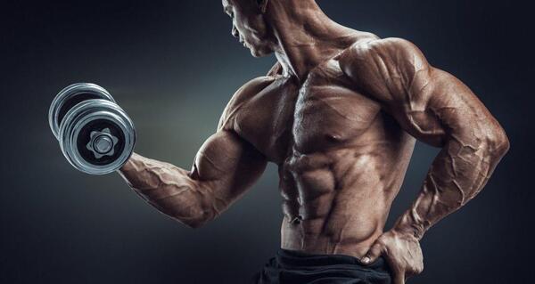 عکس های حرفه ای بدنسازی