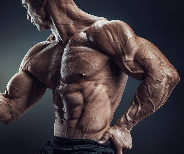 عکس های حرفه ای بدنسازی