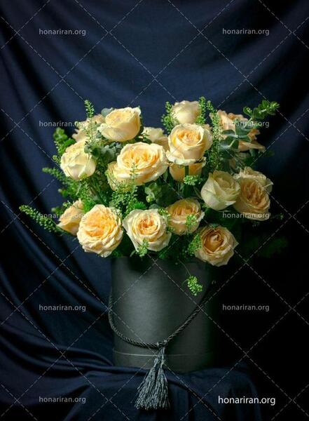 عکس های گل های رز