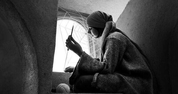 عکس های شادی قدیریان