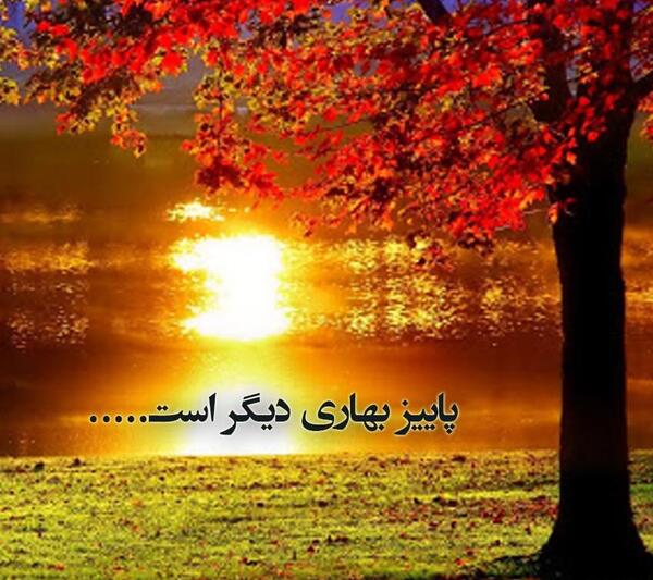عکس برای استوری