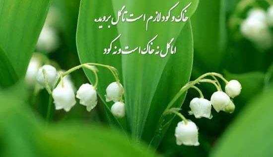 عکس های زیبا و با معنی برای پروفایل