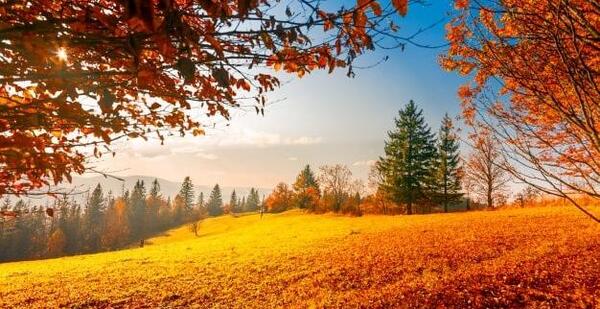 عکس های پاییزی با کیفیت بالا
