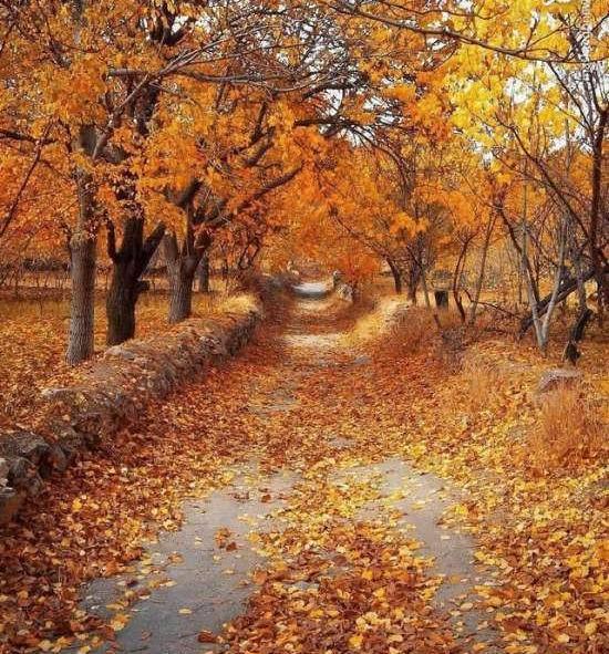 عکس های پاییزی با کیفیت بالا