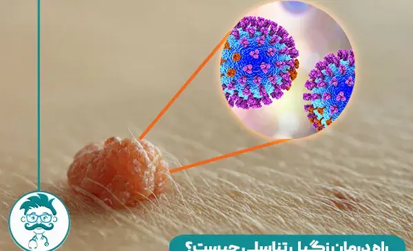 عکس زگیل تناسلی مردان