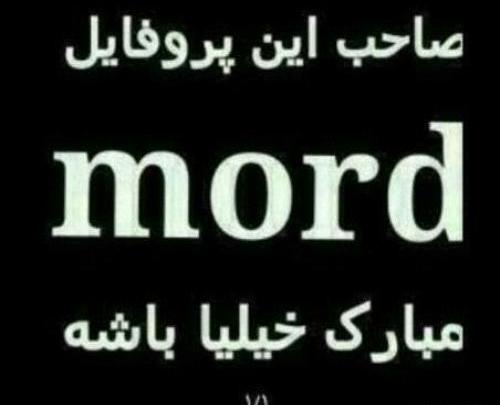 عکس های پروفایل صاحب این پروفایل مرد