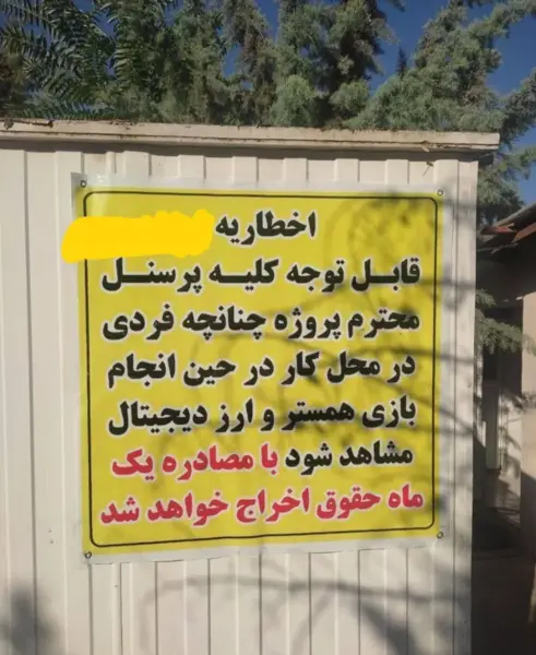 عکس های پروفایل همستر کمبات