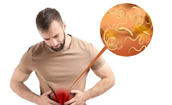 عکس کرم در مدفوع