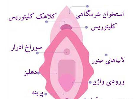 عکس آلت