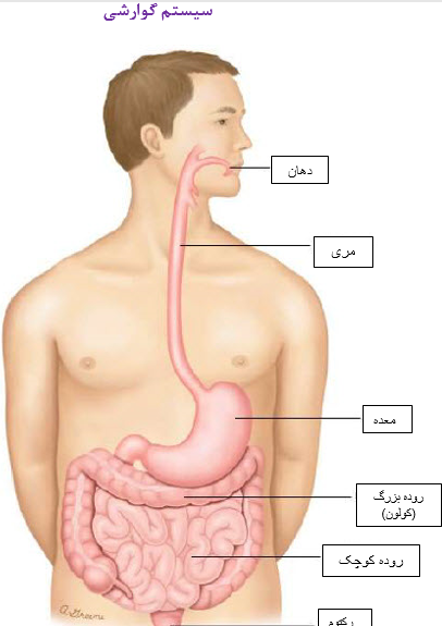 عکس خون در مدفوع