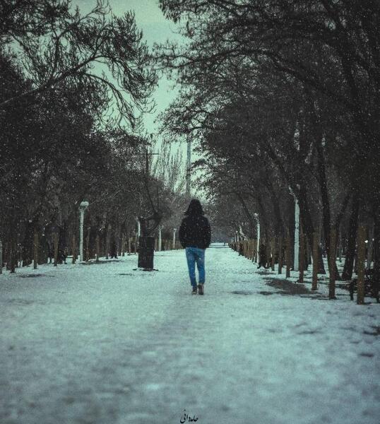 عکس برف تنهایی