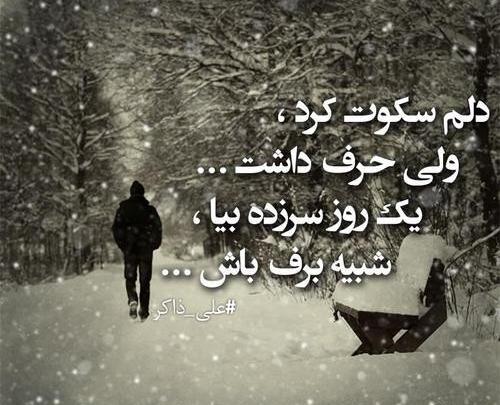 عکس برف تنهایی