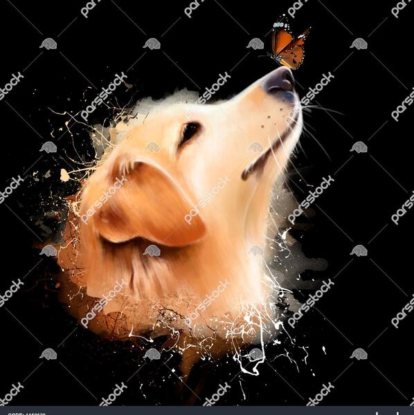 عکس هاپو برای پروفایل