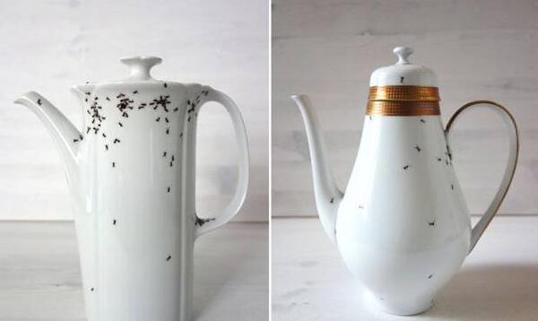 عکس ظرف برای طراحی