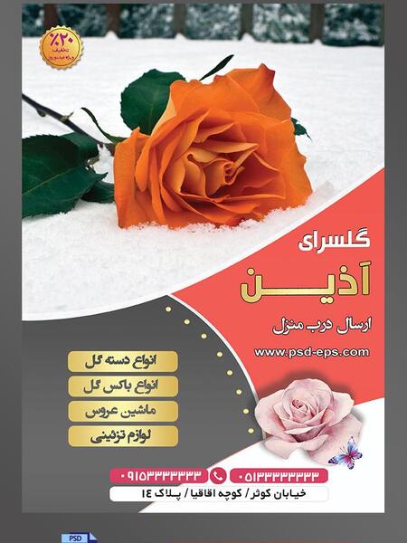 عکس گل رز قرمز در برف