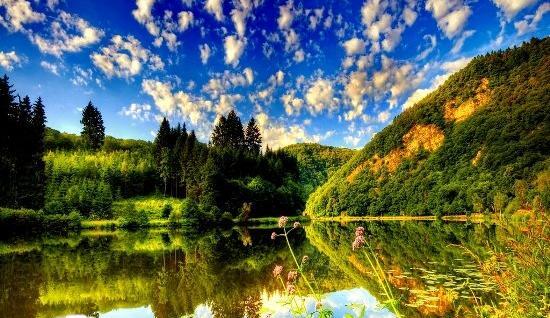 عکس از طبیعت تابستان