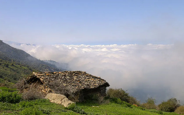 عکس از طبیعت تابستان
