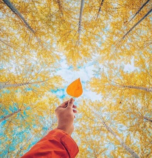 عکس پروفایل پاییز بدون مادر