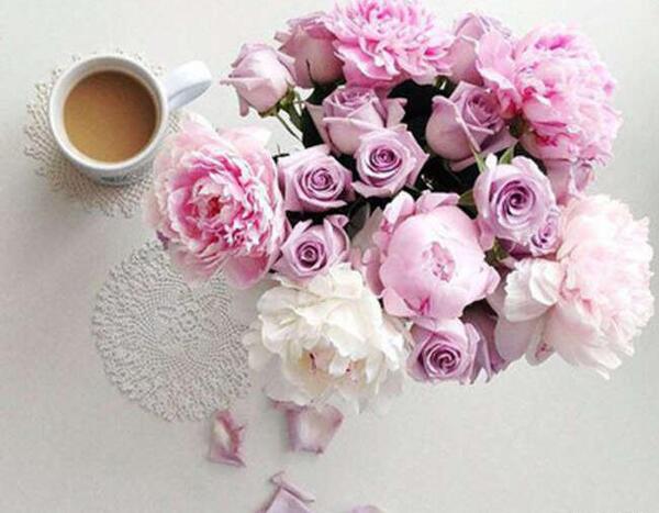 عکس نوشته ی سلام و روز بخیر
