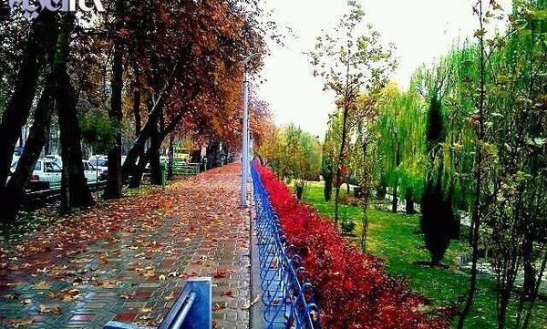عکس چالش های زیبا