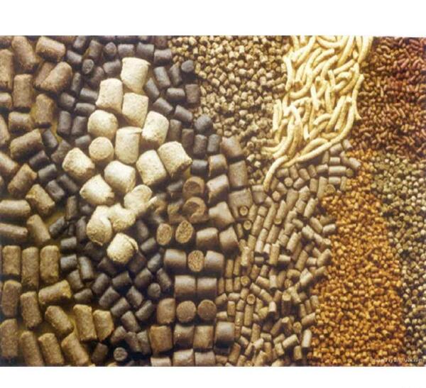 عکس غذا ماهی