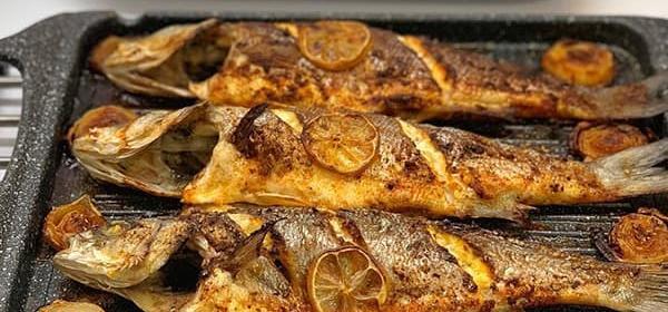 عکس غذا ماهی