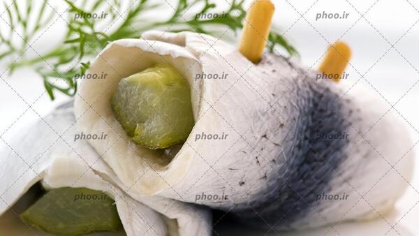 عکس غذا ماهی