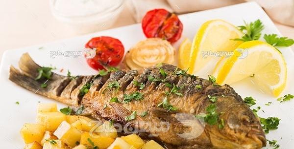 عکس غذا ماهی