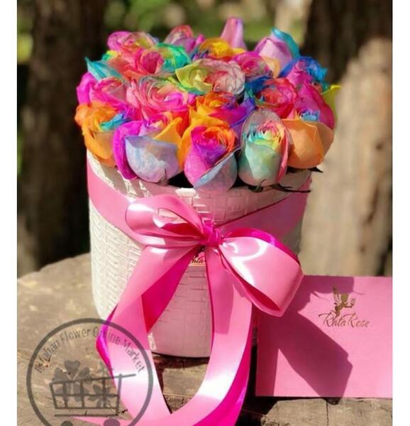 عکس گل رز هلندی هفت رنگ