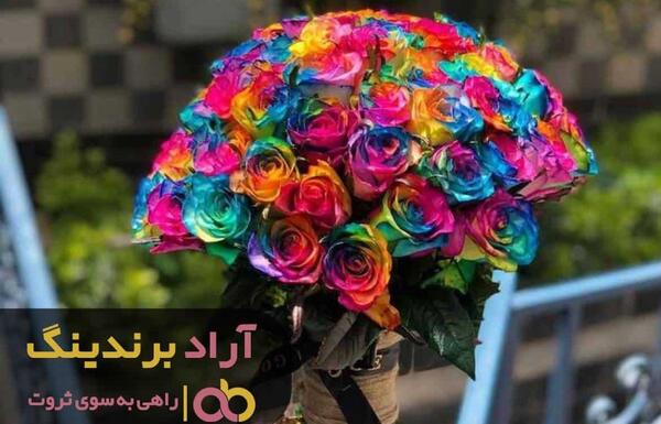 عکس گل رز هلندی هفت رنگ