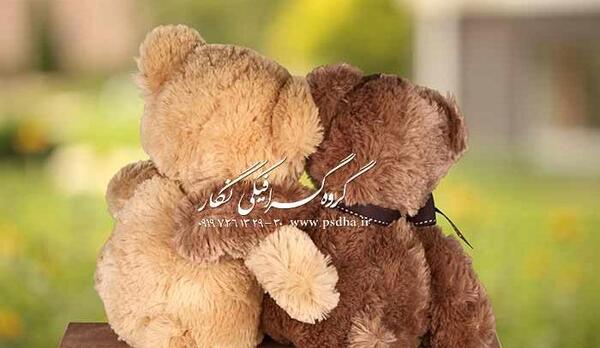 عکس خرس بک گراند
