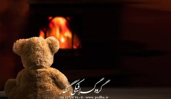 عکس خرس بک گراند