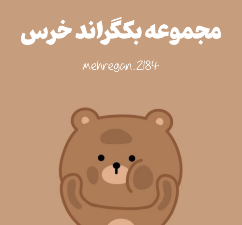 عکس خرس بک گراند