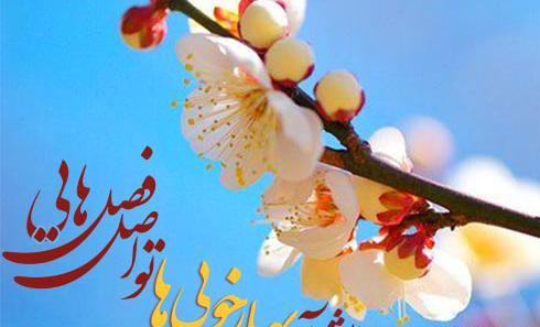 عکس بهاری استوری