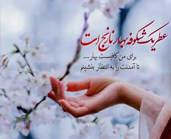 عکس بهاری استوری