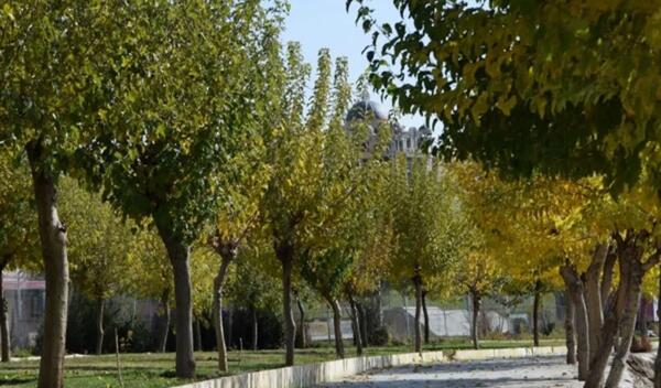 عکس زمین پاییزی
