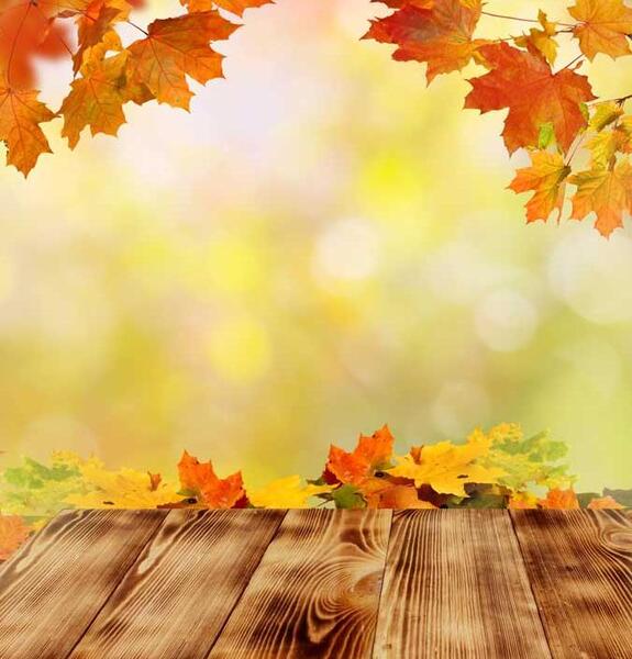 عکس زمین پاییزی