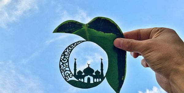عکس زمین پاییزی
