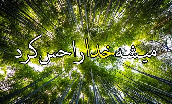 عکس پروفایل طبیعت رمانتیک