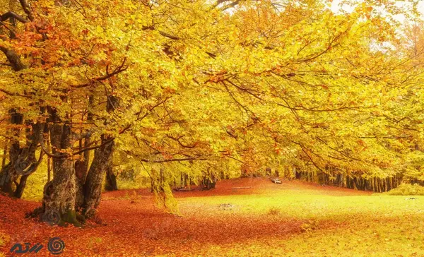 عکس های طبیعت زیبا پاییزی