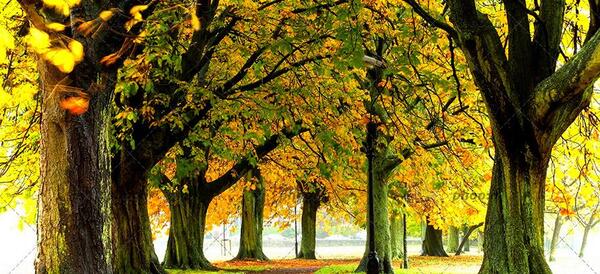 عکس های طبیعت زیبا پاییزی